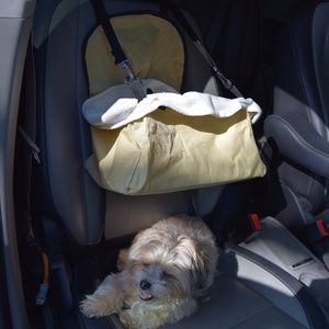 Pet Car Booster Travel Seat